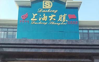 Dasheng大胜 Dasheng大胜