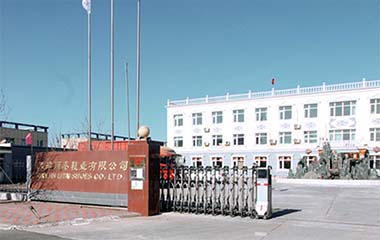 丽泰 丽泰