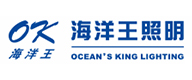 海洋王